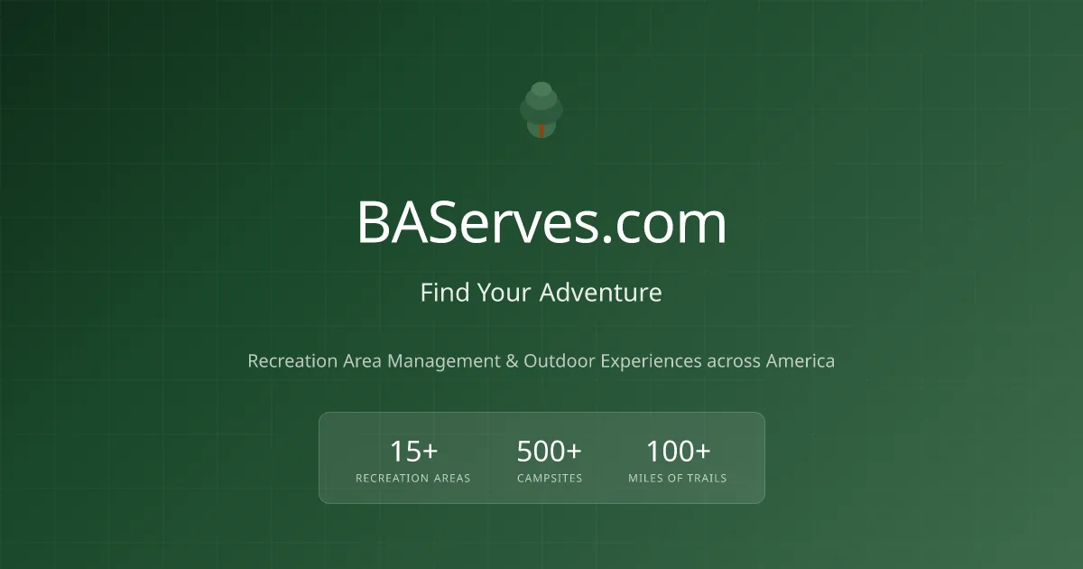 BA Services, Inc.