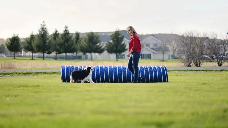 Carden Kennels