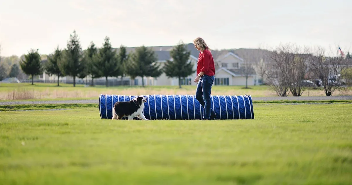 Carden Kennels