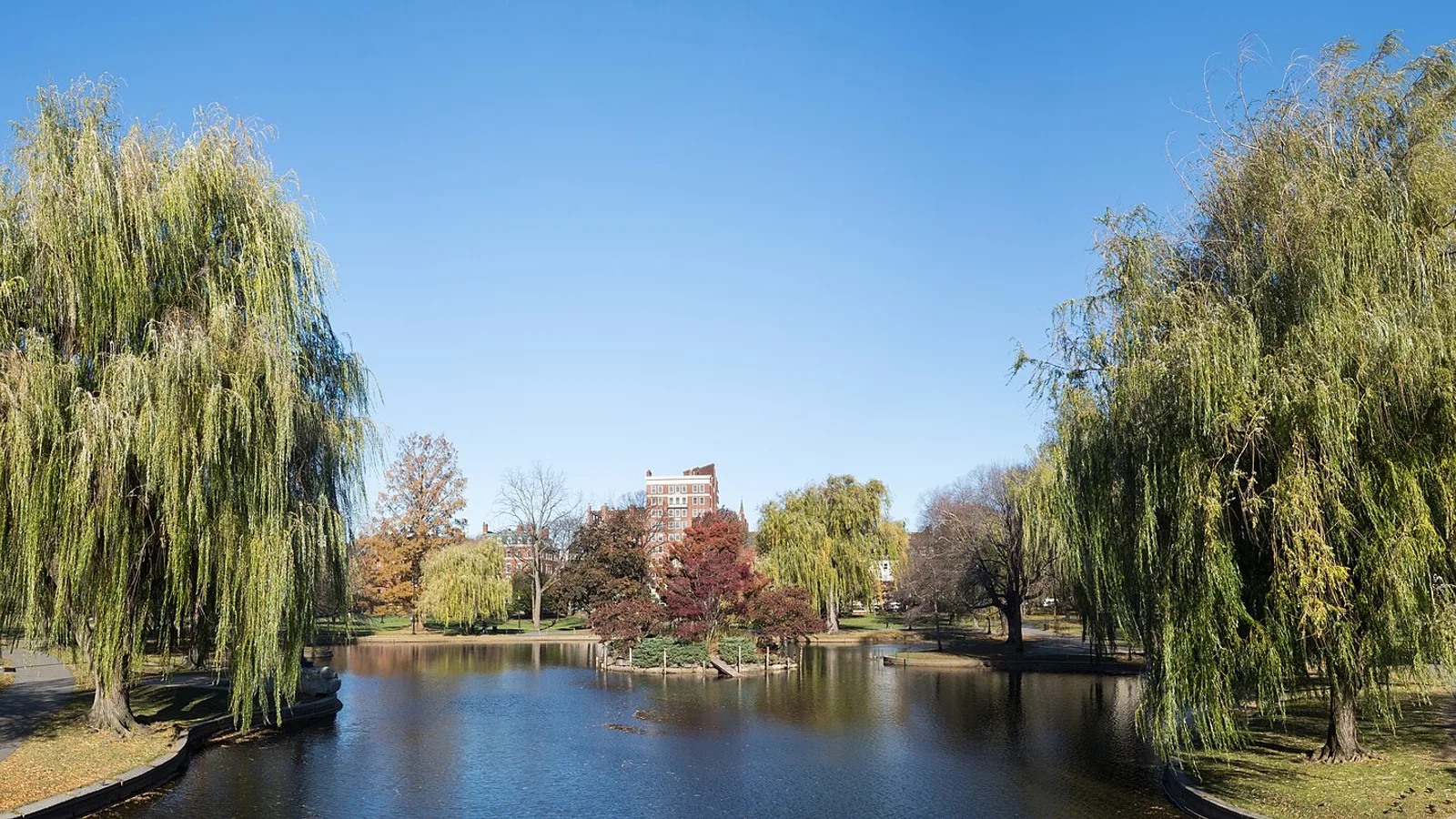 Boston Public Garden (36008p)