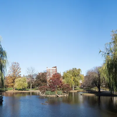 Boston Public Garden (36008p)