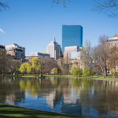 The Boston Public Garden lagoon